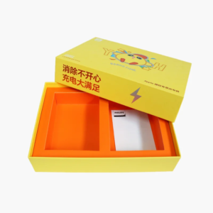 Electronic Box1