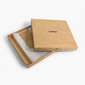 Rigid Box2